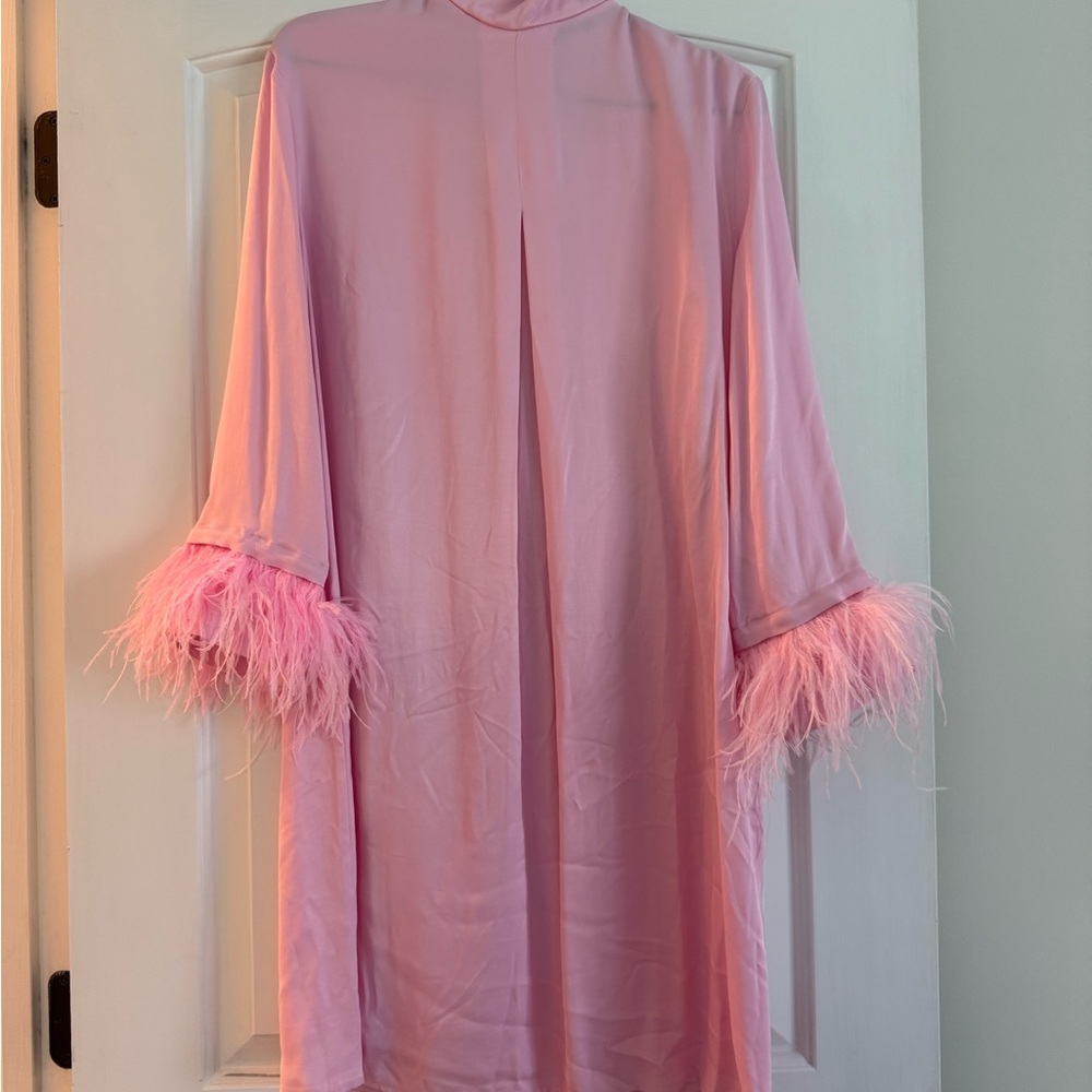 Sleeper Blush Pink Dress with Feather Accents
